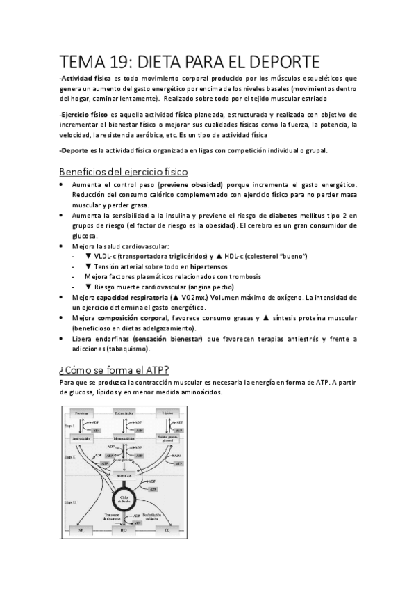 Miniatura del documento tema-19.pdf