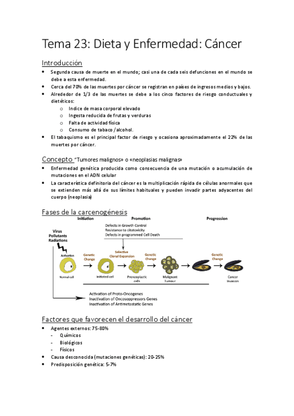 Miniatura del documento Tema-23.pdf