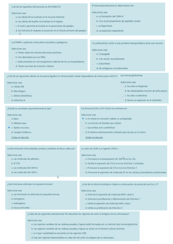 Miniatura del documento Examen-JUNIO-2021.pdf