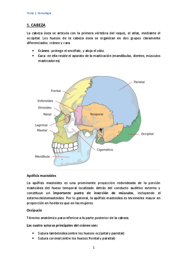 Miniatura del documento Tema-2.pdf