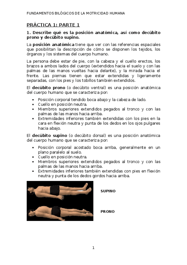 Miniatura del documento Manual-de-practicas.docx