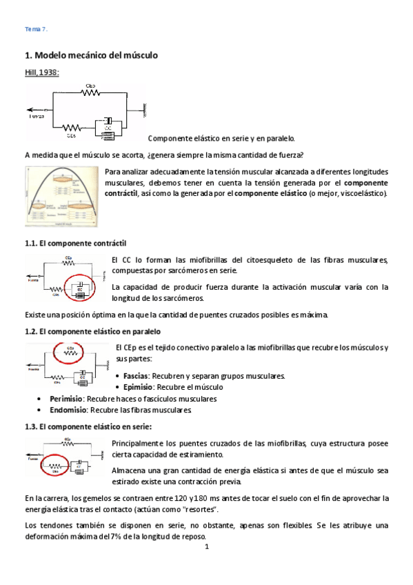 Miniatura del documento Tema-7-Biomecanica-muscular.pdf