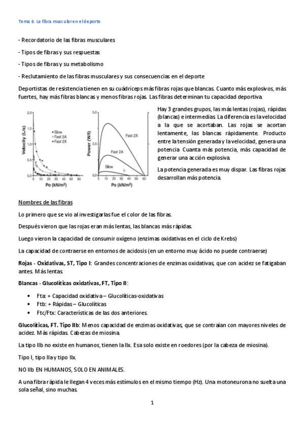 Miniatura del documento Tema-2.pdf