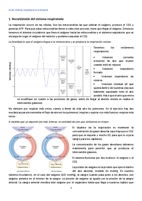 Miniatura del documento Tema-4.pdf