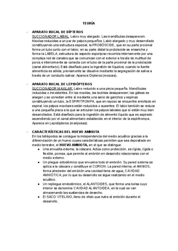 Miniatura del documento TEORIA-ZOO.pdf