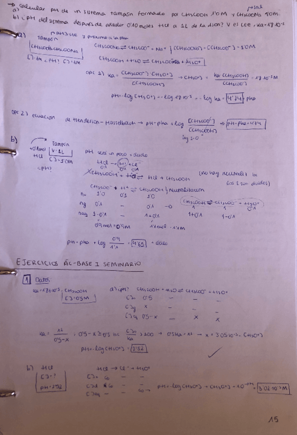 Miniatura del documento QG2-Seminario-ac-base-I.pdf
