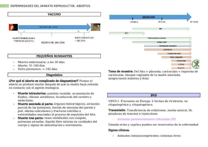 Miniatura del documento Enfermedades-del-aparato-reproductor.docx