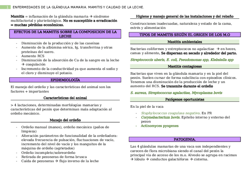 Miniatura del documento Enfermedades-de-la-glandula-mamaria.docx