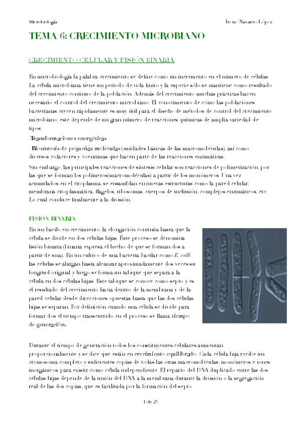 Miniatura del documento tema-6.pdf