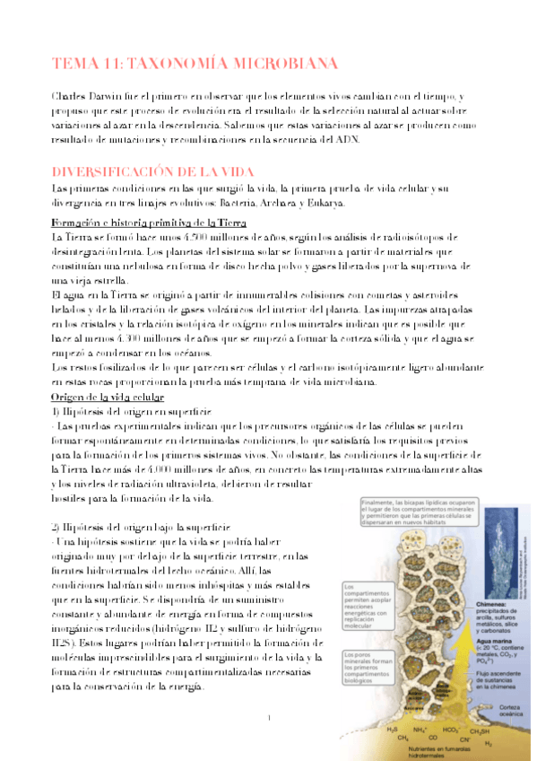 Miniatura del documento TEMA-11.pdf