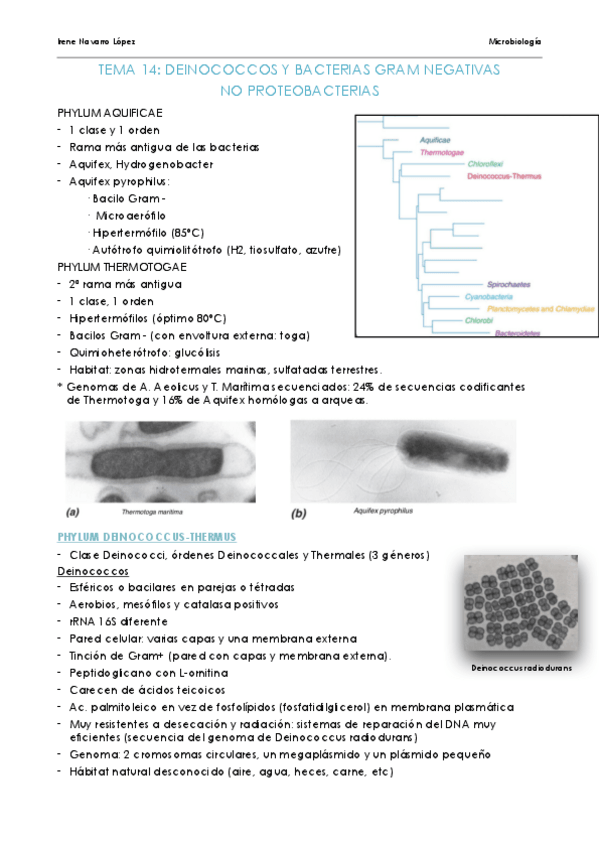 Miniatura del documento TEMA-14-MICRO.pdf