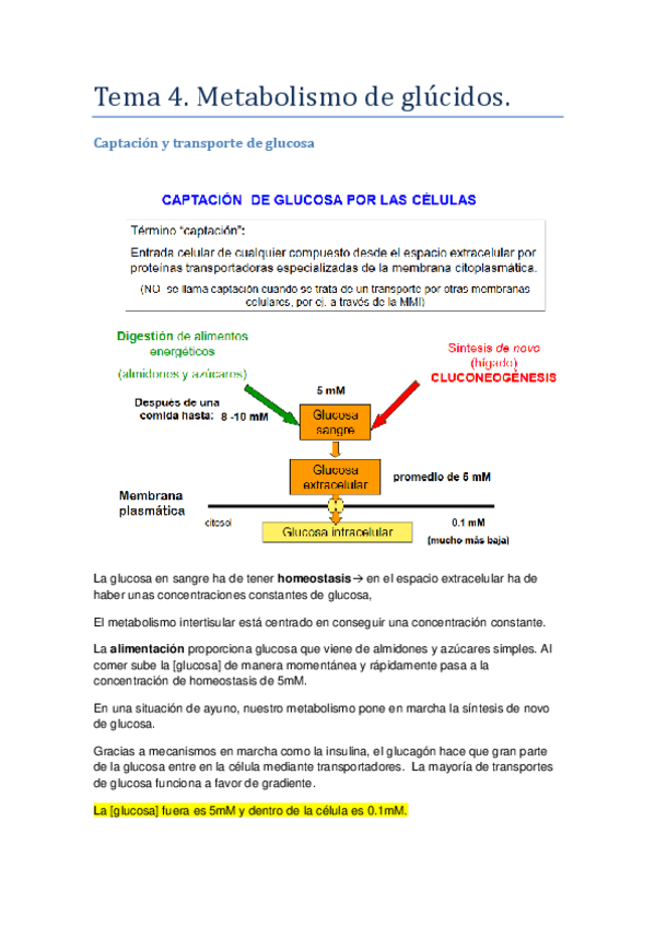 Miniatura del documento Tema-4.pdf