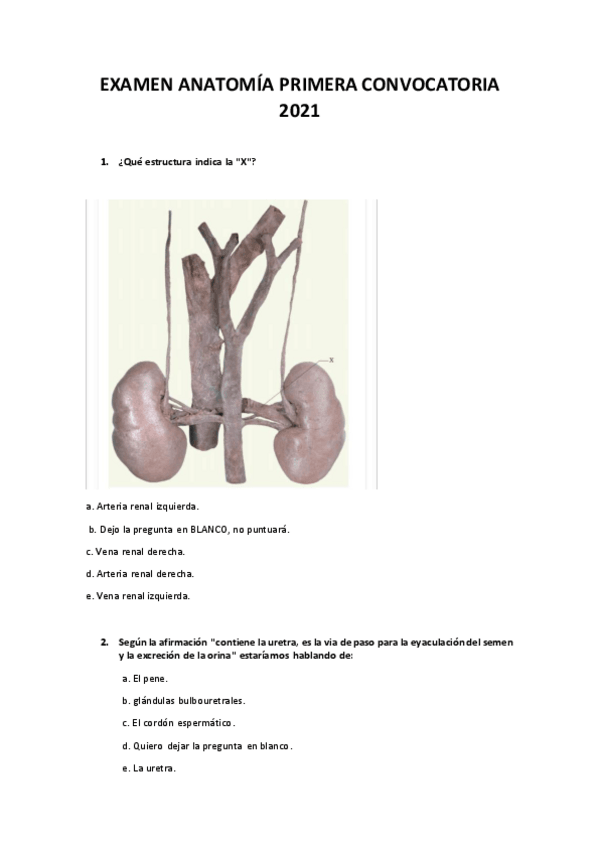 Miniatura del documento EXAMEN-ANATOMIA-PRIMERA-CONVOCATORIA-2021.pdf