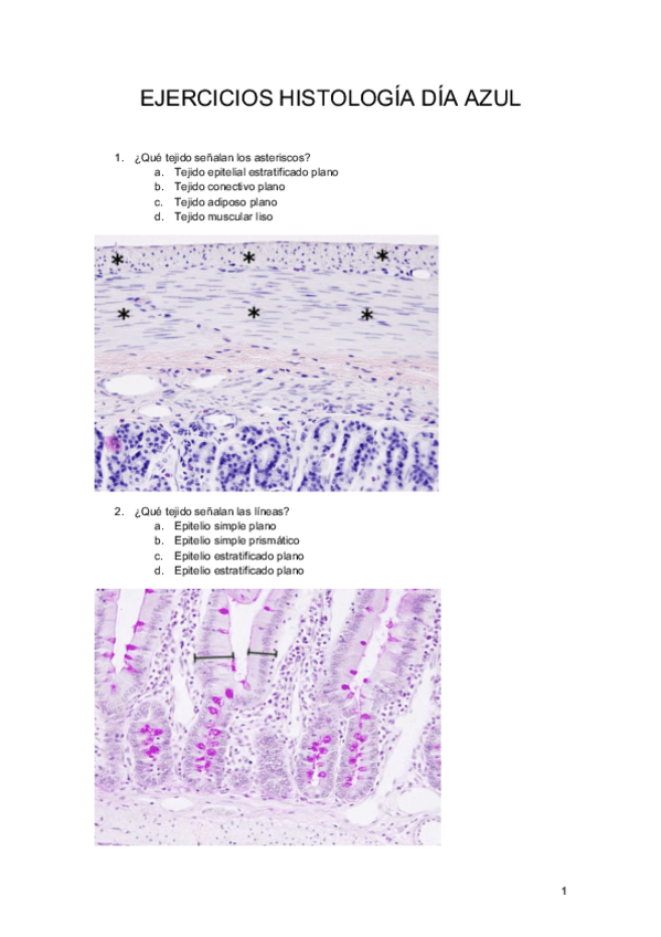 Miniatura del documento EJERCICIOS-HISTOLOGIA-DIA-AZUL.pdf