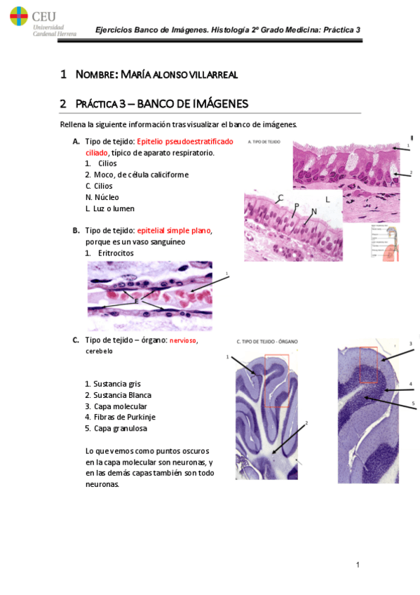 Miniatura del documento Ejercicios-banco-de-imagenes-HISTOLOGIA.pdf