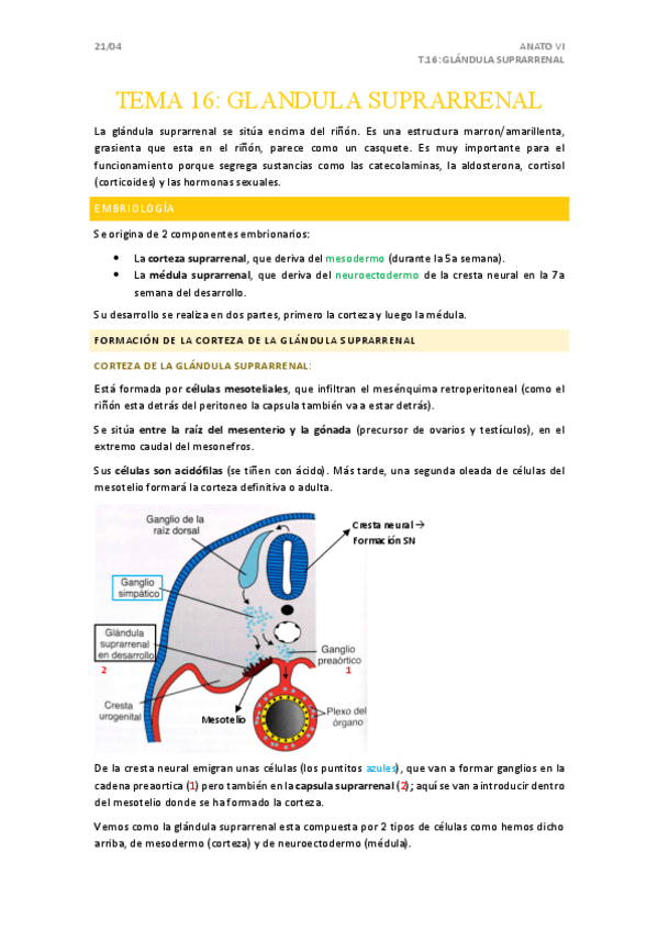 Miniatura del documento T16.pdf