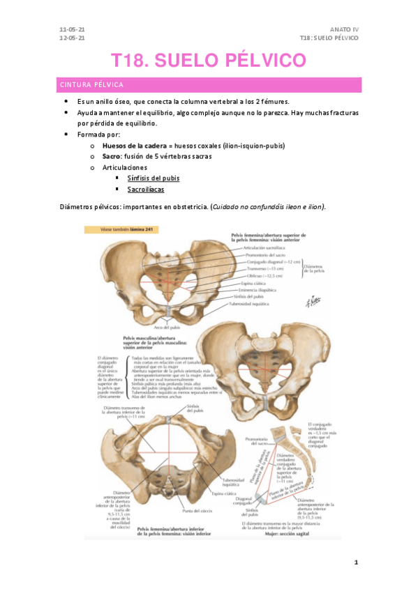 Miniatura del documento T18.pdf
