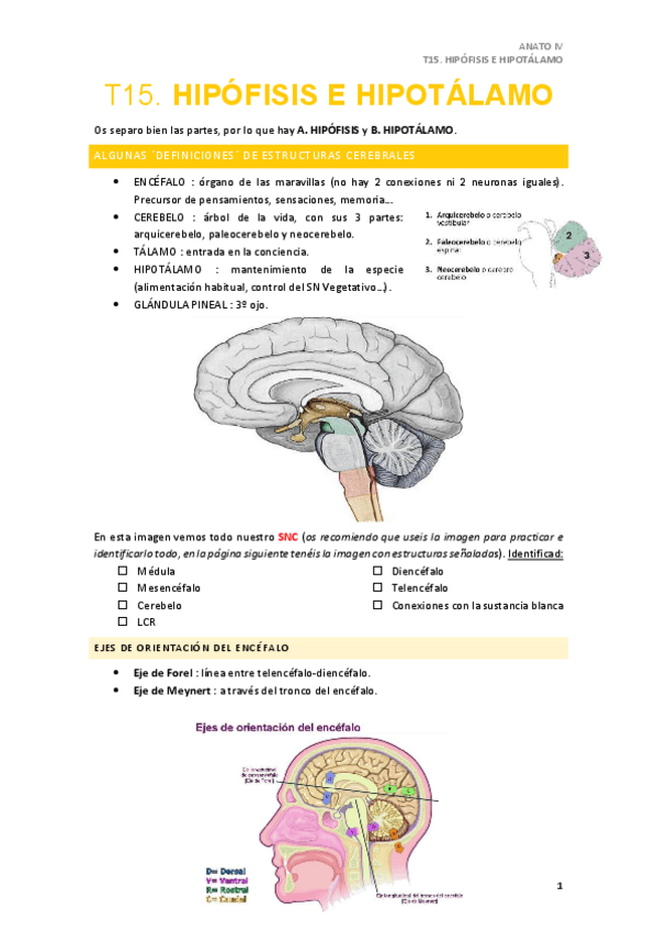 Miniatura del documento T15.pdf