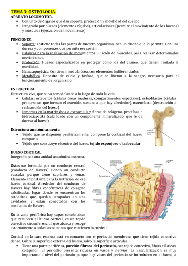 Miniatura del documento tema-3.pdf