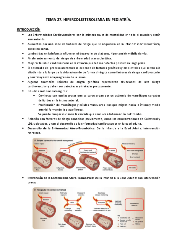 Miniatura del documento Tema 27.pdf