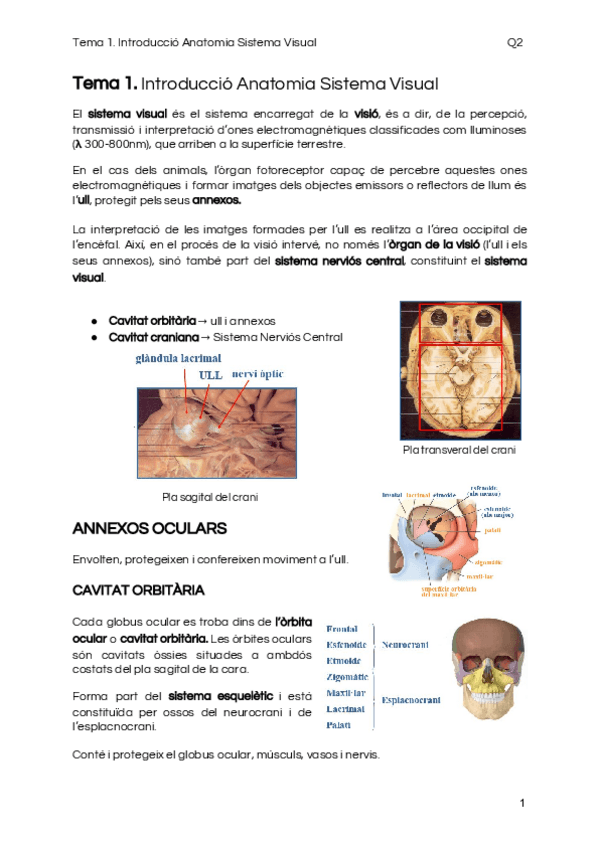 Miniatura del documento Tema-1.pdf