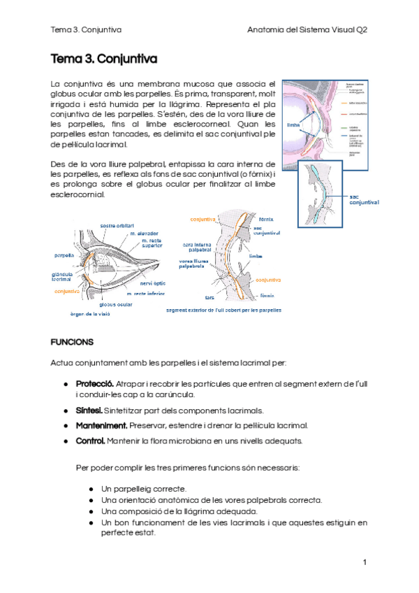Miniatura del documento Tema-3.pdf