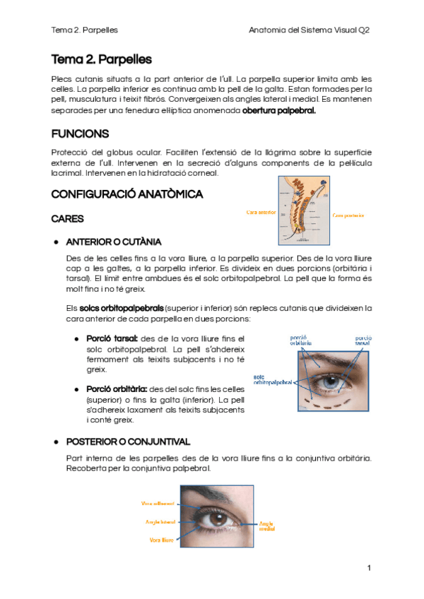 Miniatura del documento Tema-2.pdf