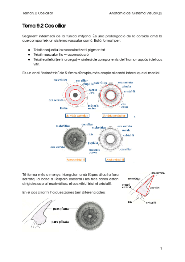 Miniatura del documento Tema-9.pdf