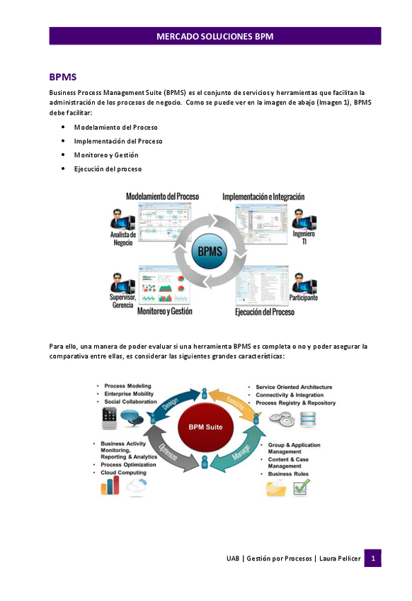 Miniatura del documento GpPT5Mercado-Soluciones-BPM.pdf