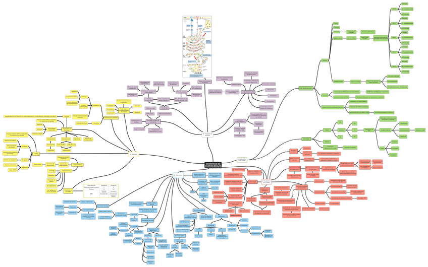Miniatura del documento Mapa-mental.png
