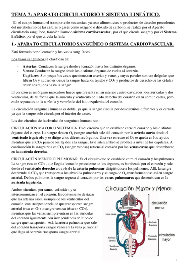 Miniatura del documento Sistema-circulatorio-y-linfatico.pdf