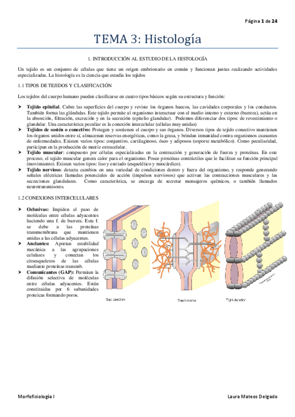 Miniatura del documento TEMA-3-Histologia.pdf