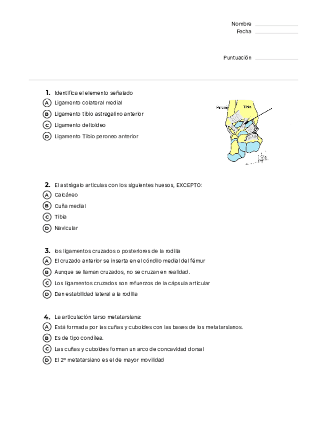 Miniatura del documento Preguntas-segundo-parcial-locomotor.pdf