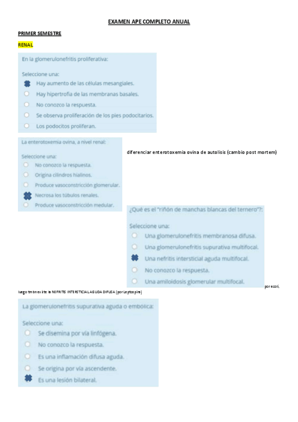 Miniatura del documento preguntasglobaltest.pdf
