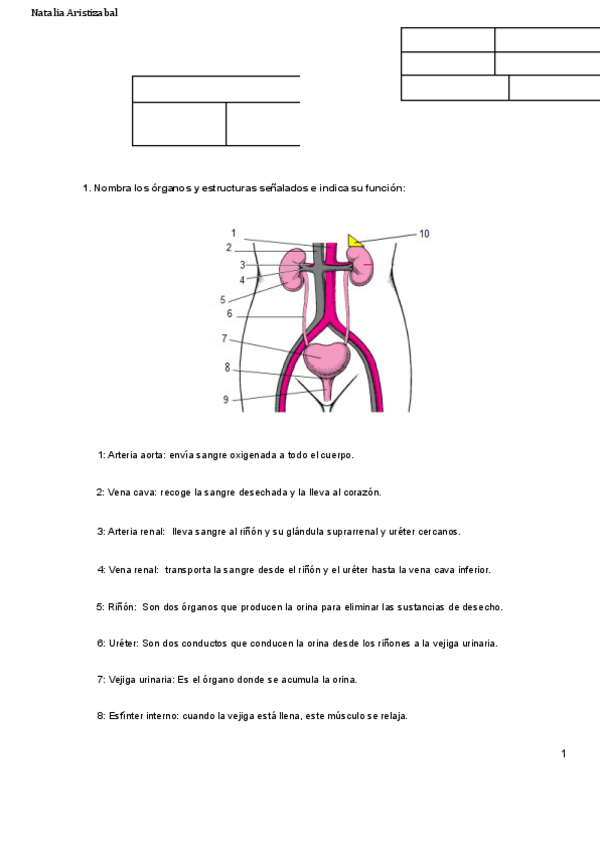 Miniatura del documento Ejercicios-anatomia-y-fisiologia-ap.pdf