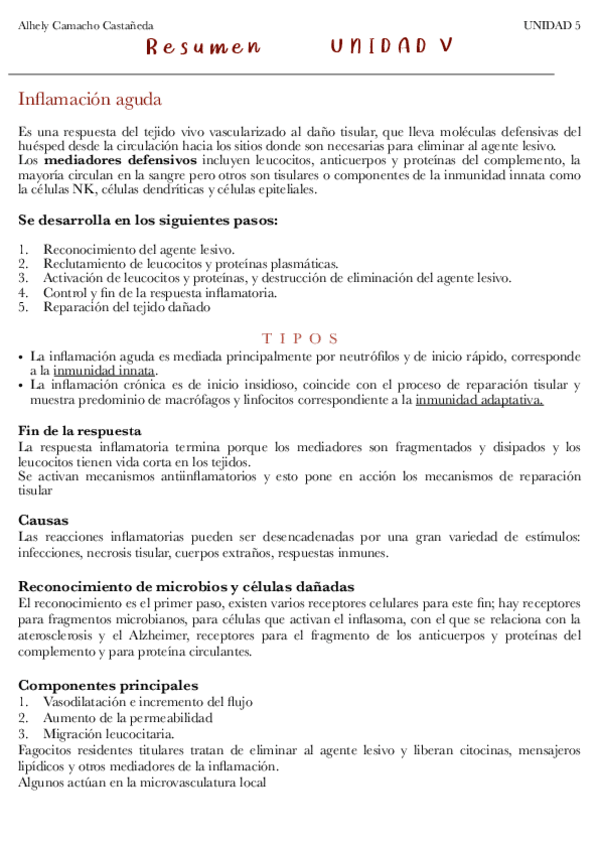 Miniatura del documento RESUMEN-5.pdf