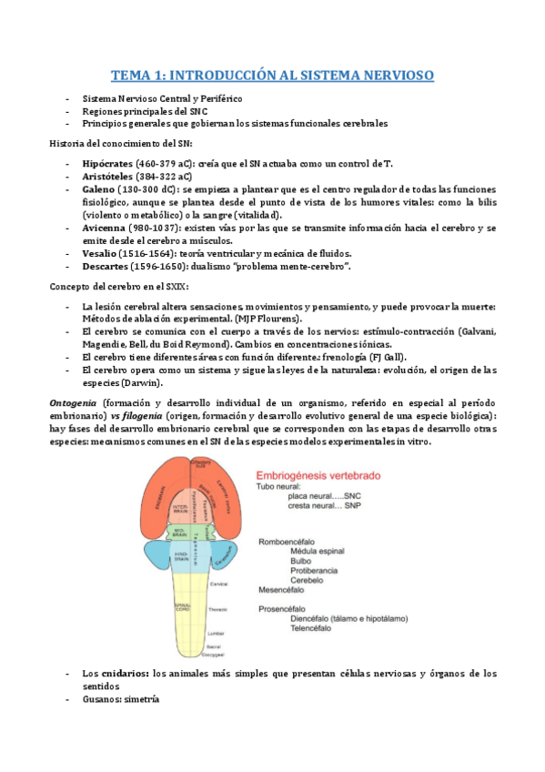 Miniatura del documento B8- T1.pdf