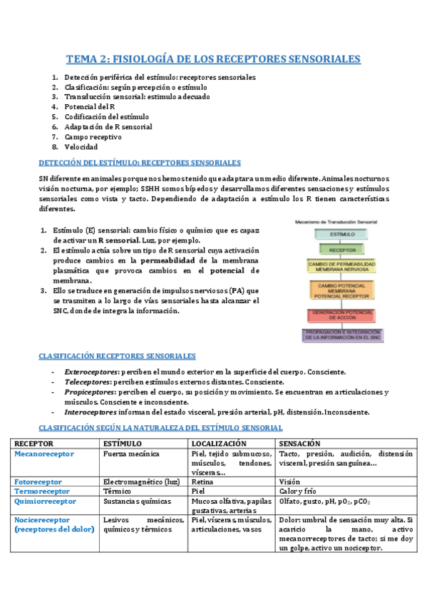 Miniatura del documento B8- T2.pdf