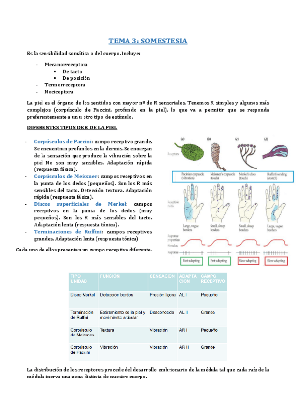 Miniatura del documento B8- T3.pdf