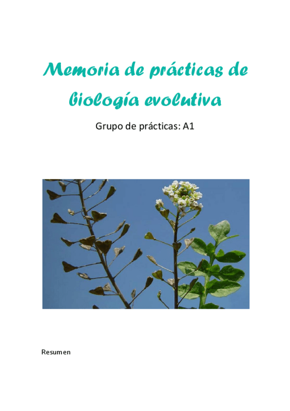Miniatura del documento Memoria de practicas.pdf