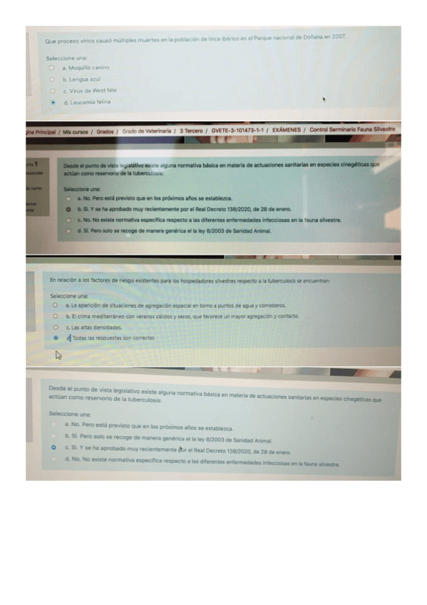 Miniatura del documento MEZCLA-PREGUNTAS-TIPO-TEST-EEII-20-21.pdf