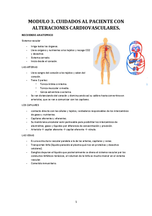 Miniatura del documento TEMA-6.pdf