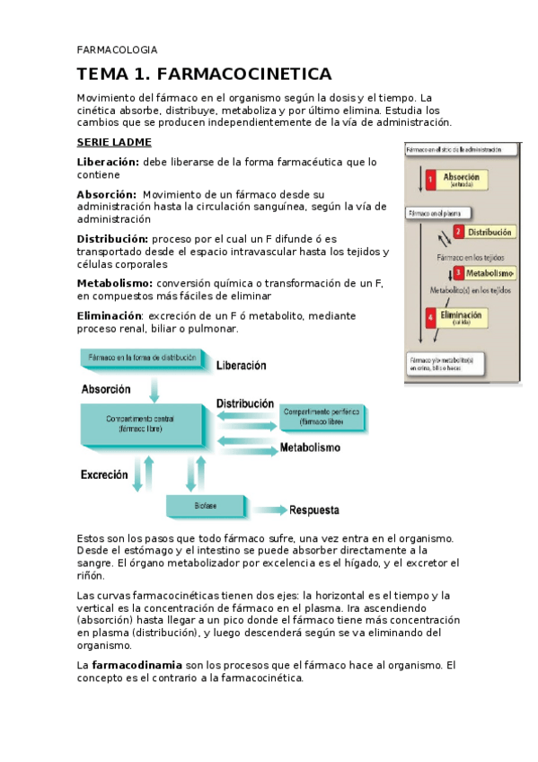 Miniatura del documento TEMA-1.docx