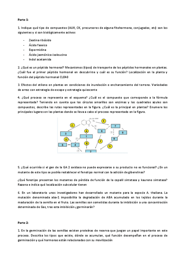 Miniatura del documento examen-junio-2020.pdf