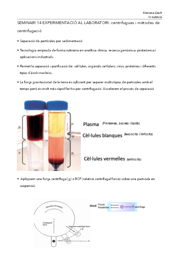 Miniatura del documento SEMINARI-14-EXPERIMENTACIO-AL-LABORATORI.pdf
