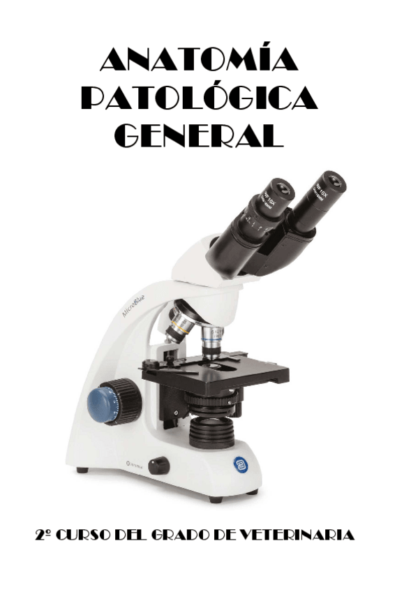 Miniatura del documento RESUMENES.pdf