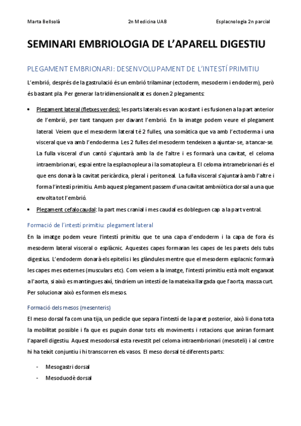 Miniatura del documento seminari-embriologia-aparell-digestiu.pdf