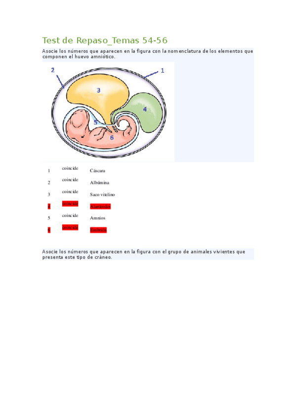 Miniatura del documento Test-de-Repaso.docx