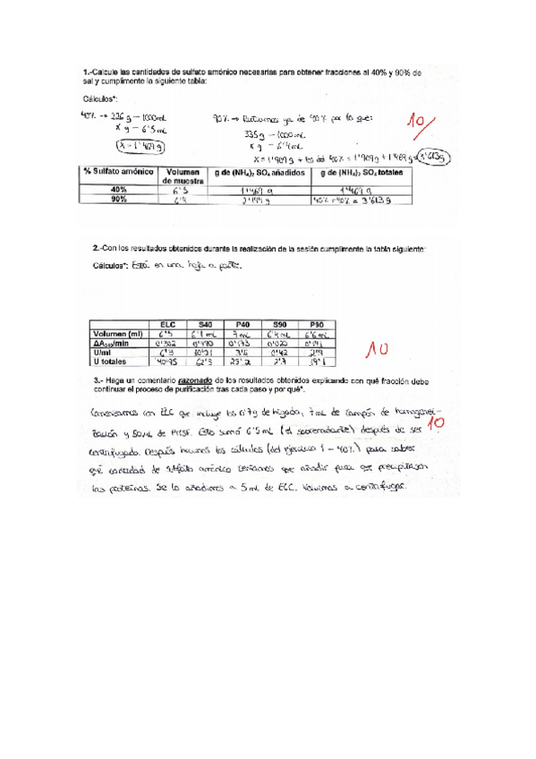 Miniatura del documento Practica-1.docx