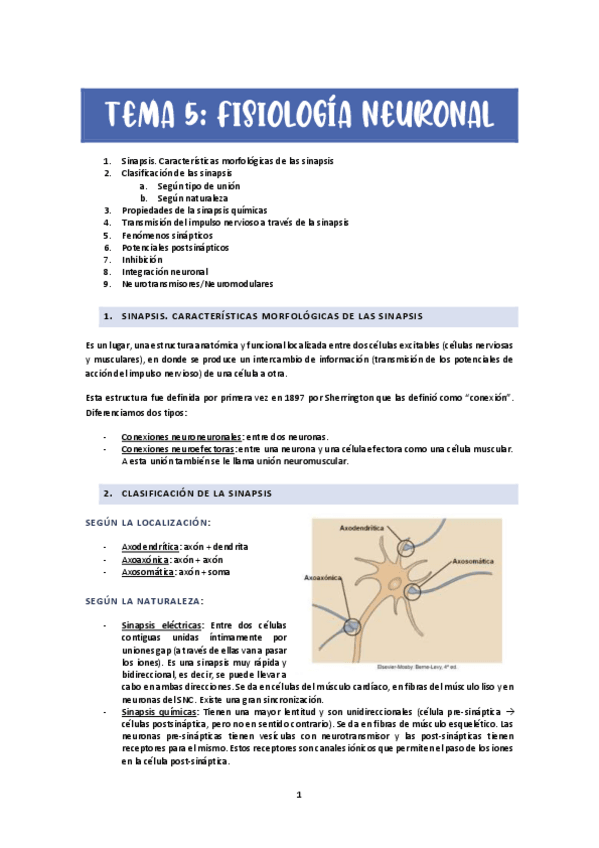 Miniatura del documento TEMA-5-FNEURONAL.pdf